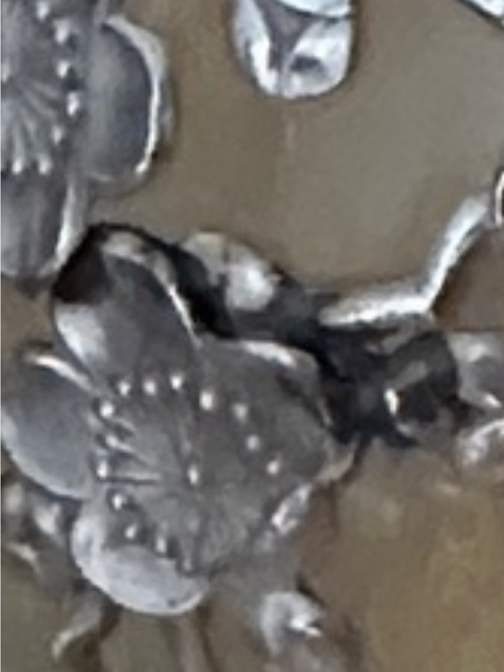 Silver Floral Embossed Decanter - Picture 13 of 15